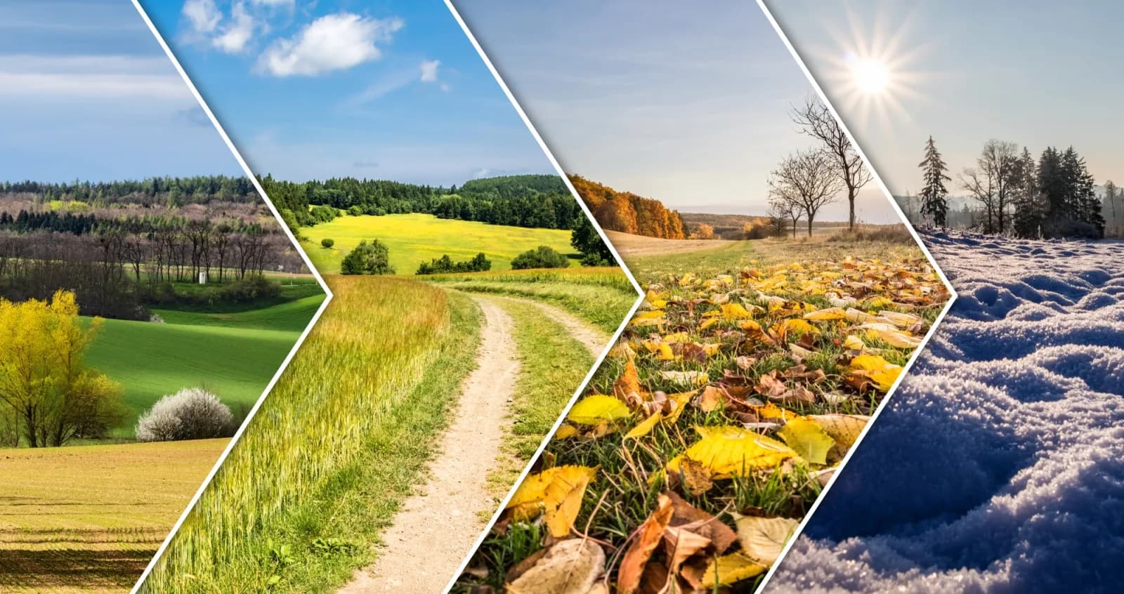 Cover page of different weather seasons